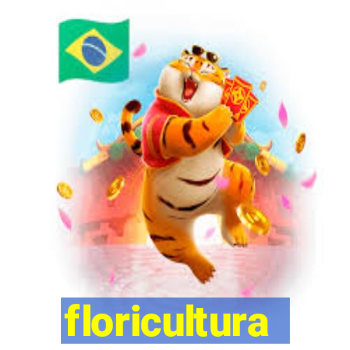 floricultura juazeiro bahia